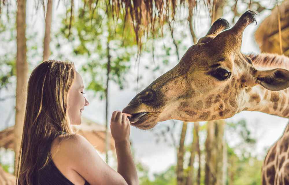 Conseils pour un safari en famille en Afrique