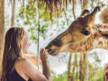 Conseils pour un safari en famille en Afrique