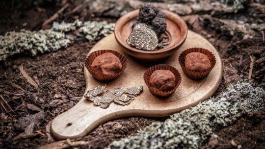 Comment la marque Truffle réinvente l’univers de la gastronomie